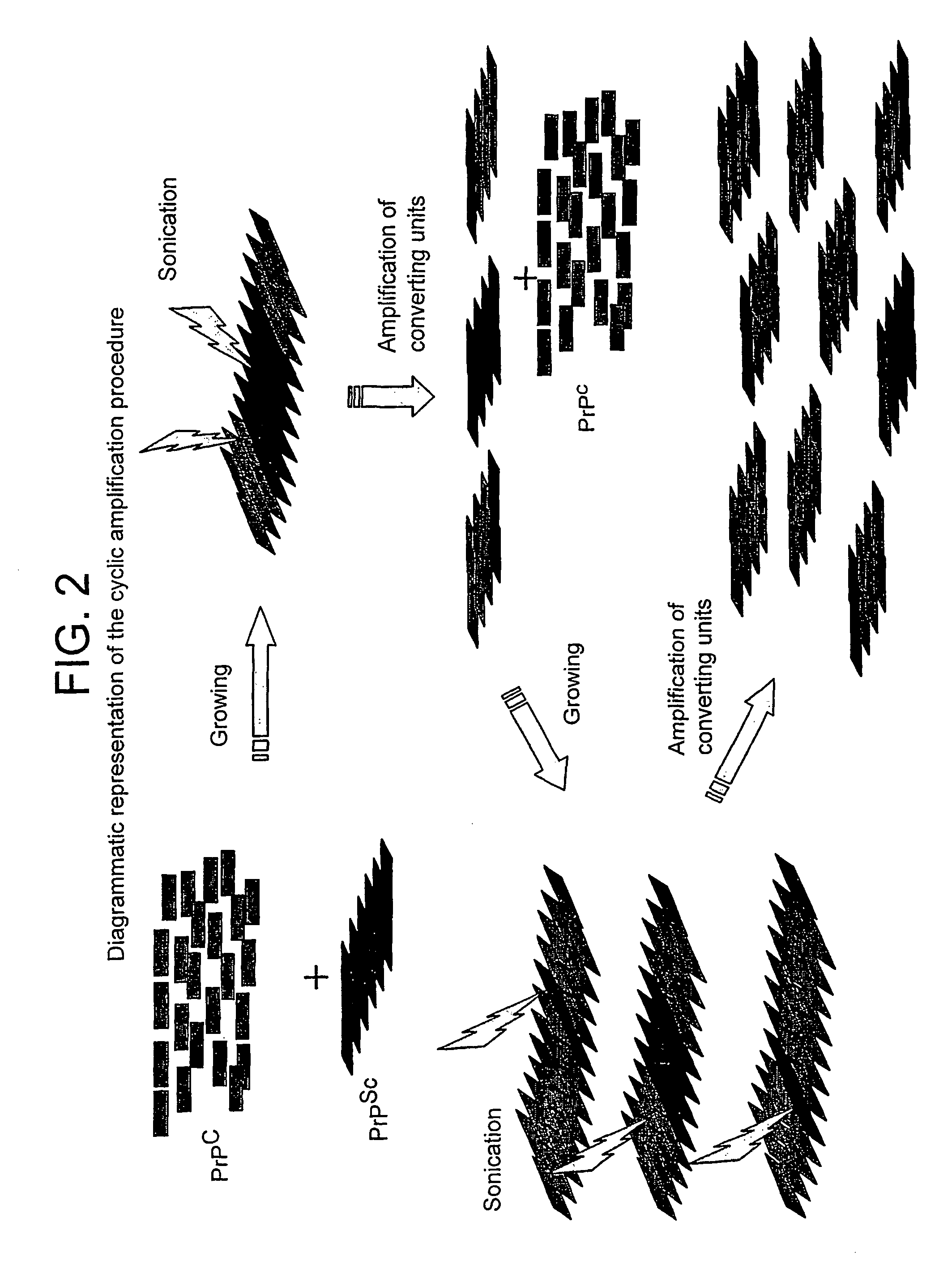 Early diagnosis of conformational diseases