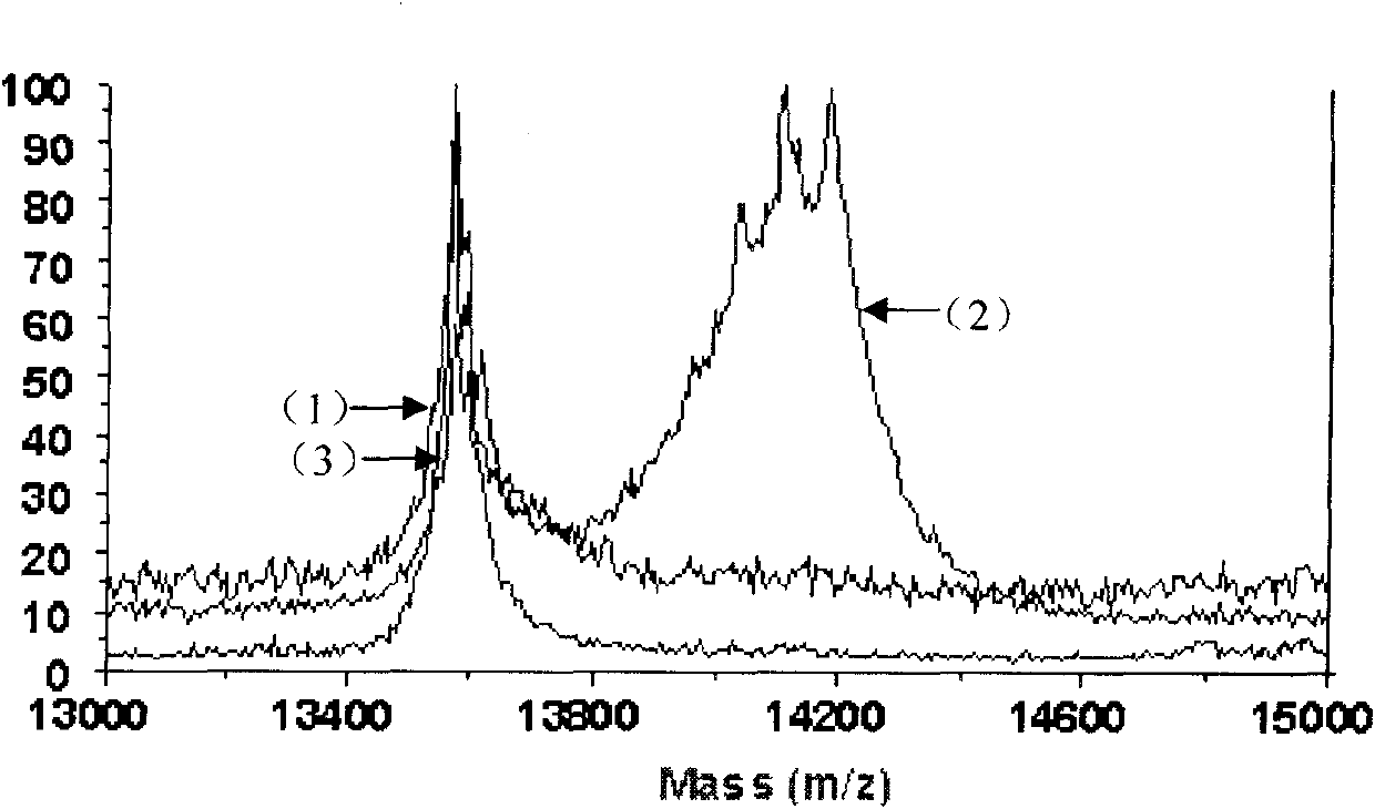 Novel method for oxidative folding of protein