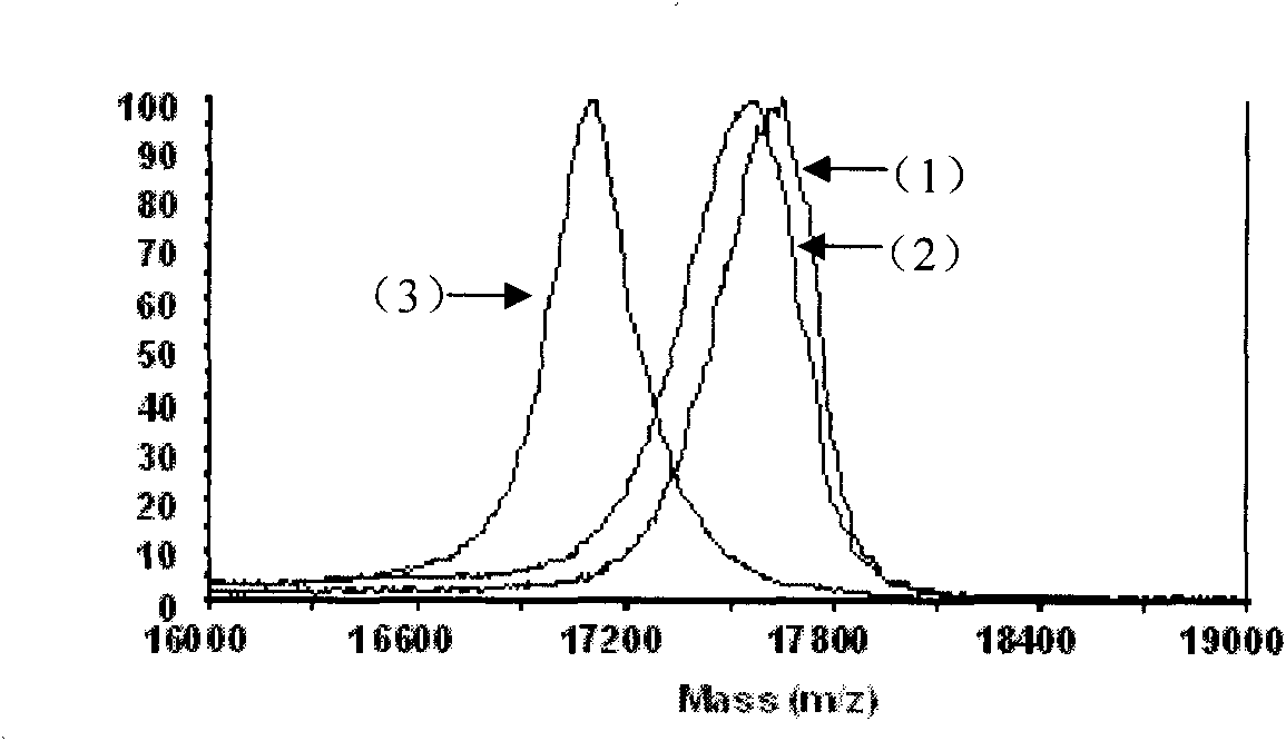 Novel method for oxidative folding of protein