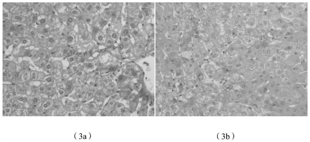 A kind of pathological tissue transparent dewaxing liquid and preparation method thereof