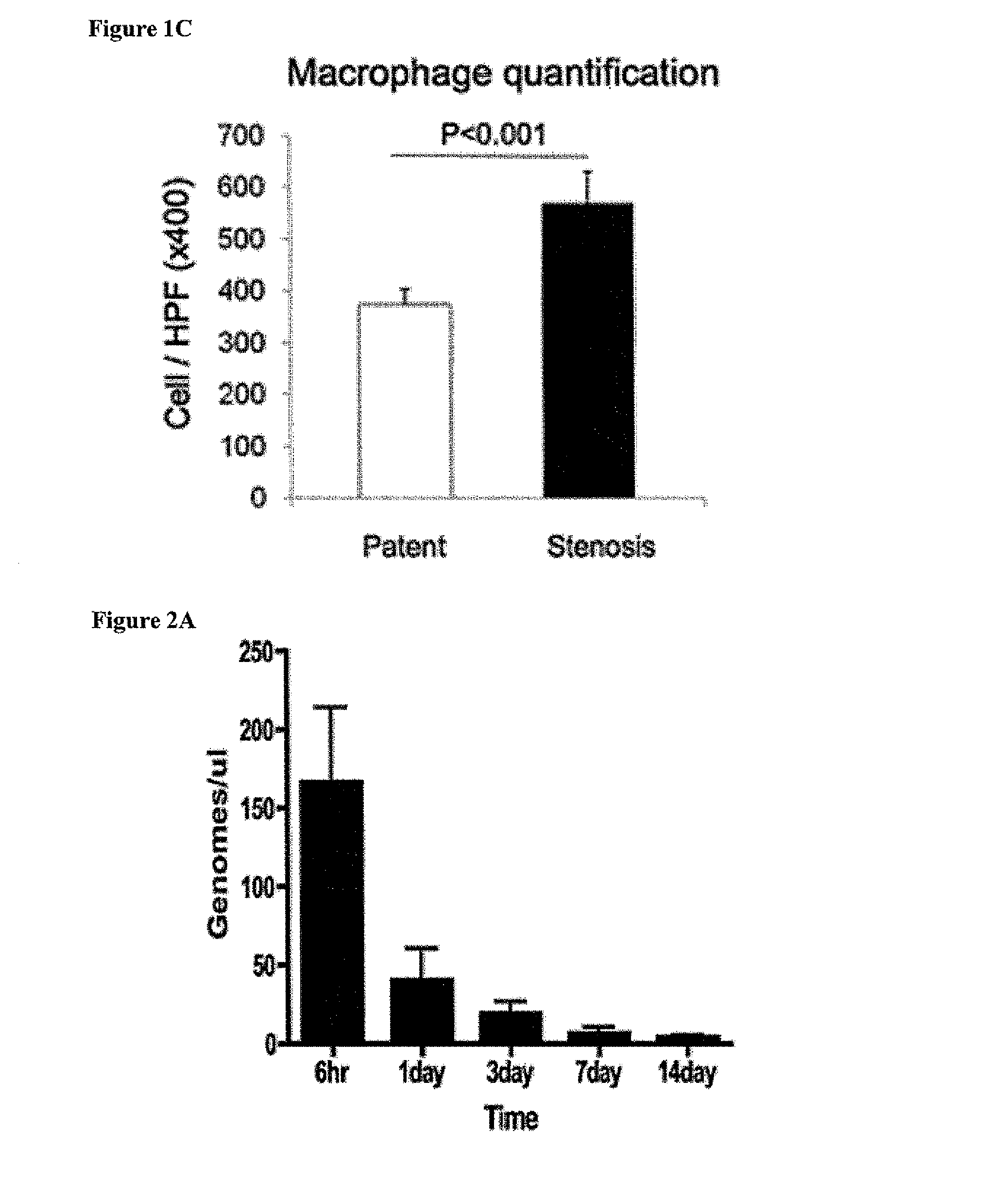 Cell-Free Tissue Engineered Vascular Grafts