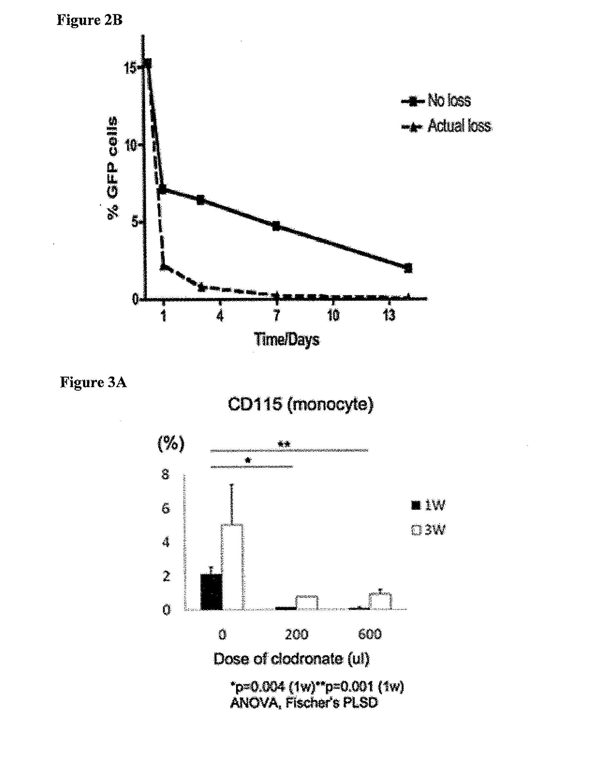 Cell-Free Tissue Engineered Vascular Grafts