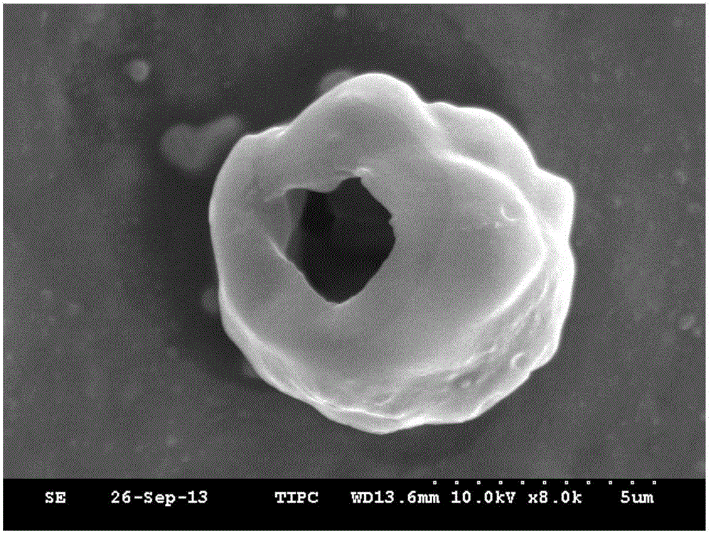 Water soluble salt microcapsule wrapped by polybenzoxazine resin and preparation method thereof