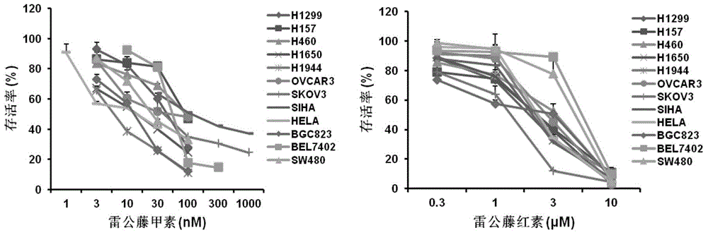 Application of triptolide and tripterine in preparation of antitumor drugs