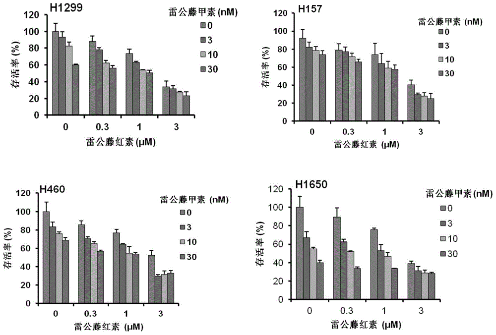 Application of triptolide and tripterine in preparation of antitumor drugs