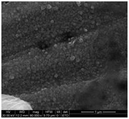 Method for preparing superhydrophobic coating on surface of SiO2 glass