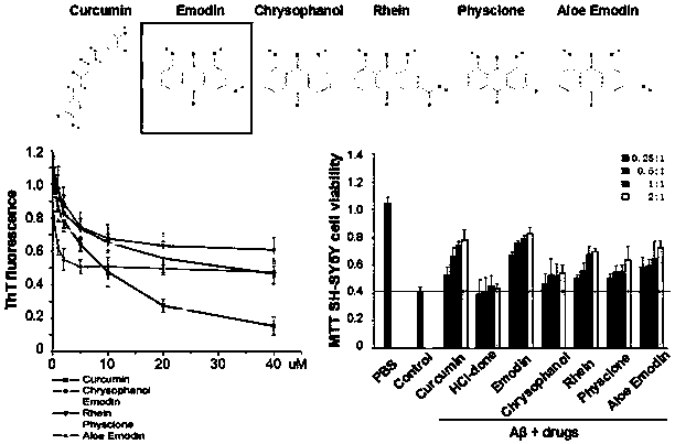 Application of compound in treatment of senile dementia by inhibiting amyloid protein accumulation