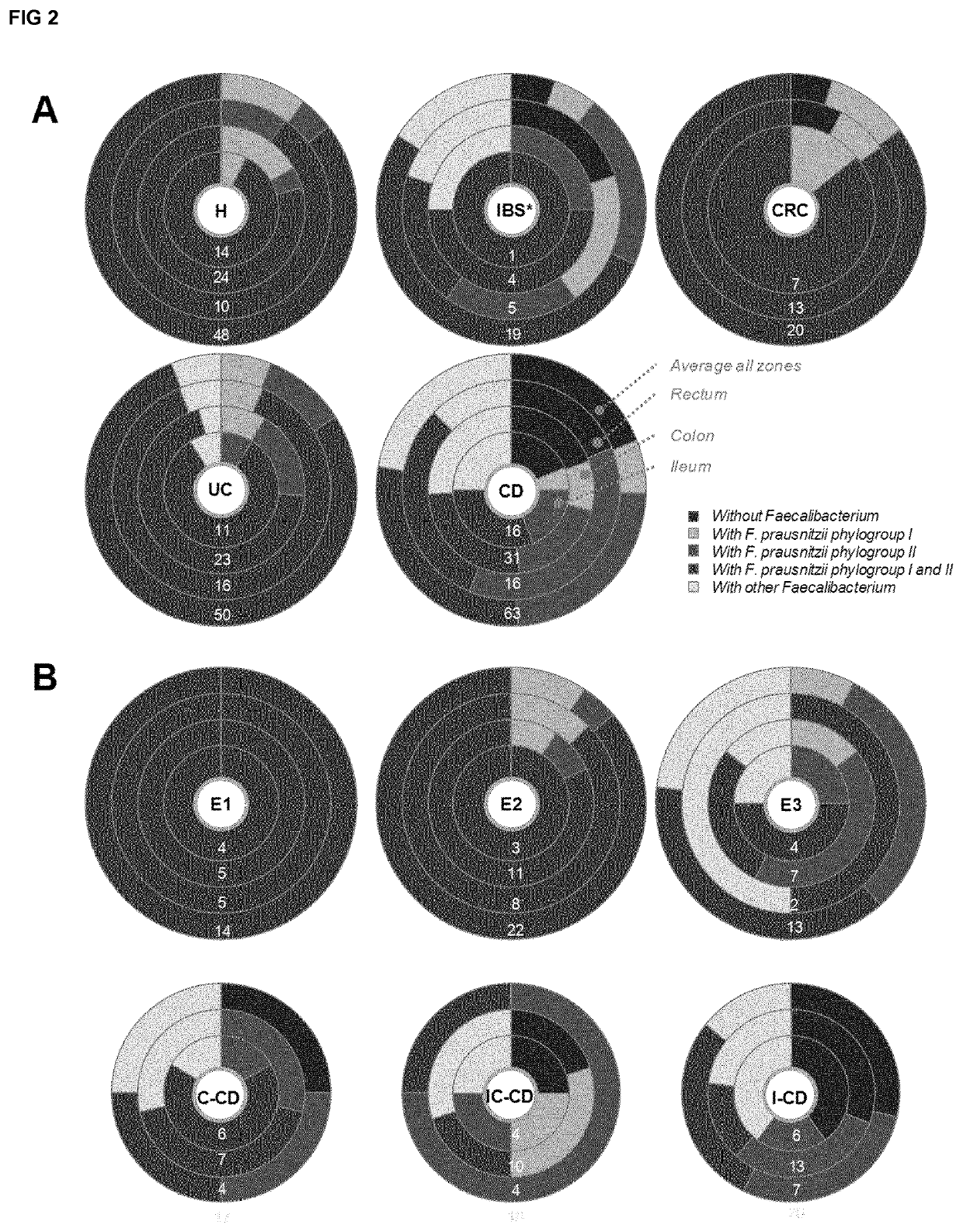 Method for the quantification of <i>Faecalibacterium prausnitzii </i>phylogroup I and/or phylogroup II members and the use thereof as biomarkers