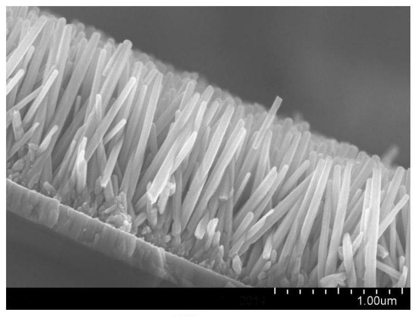 Preparation method and application of photoelectric biosensor based on oxide nanoarray