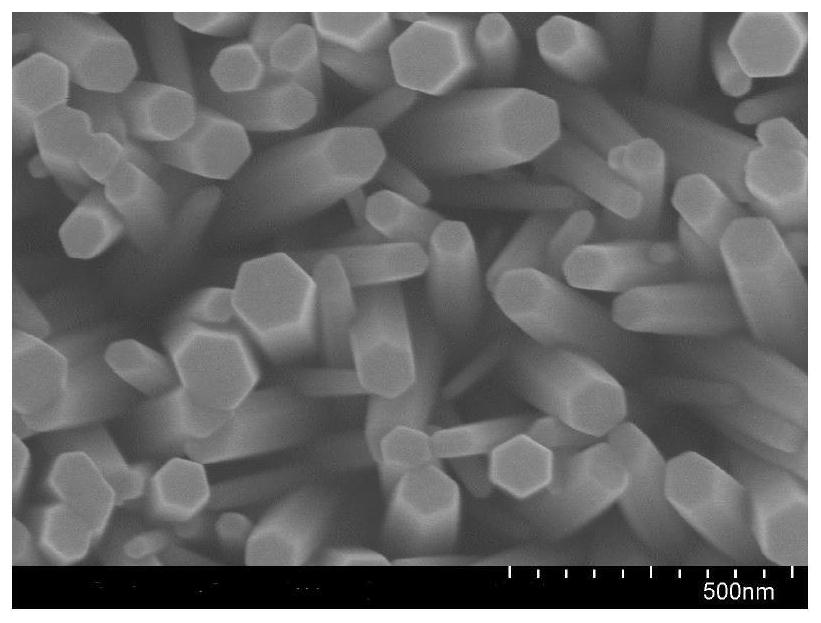 Preparation method and application of photoelectric biosensor based on oxide nanoarray