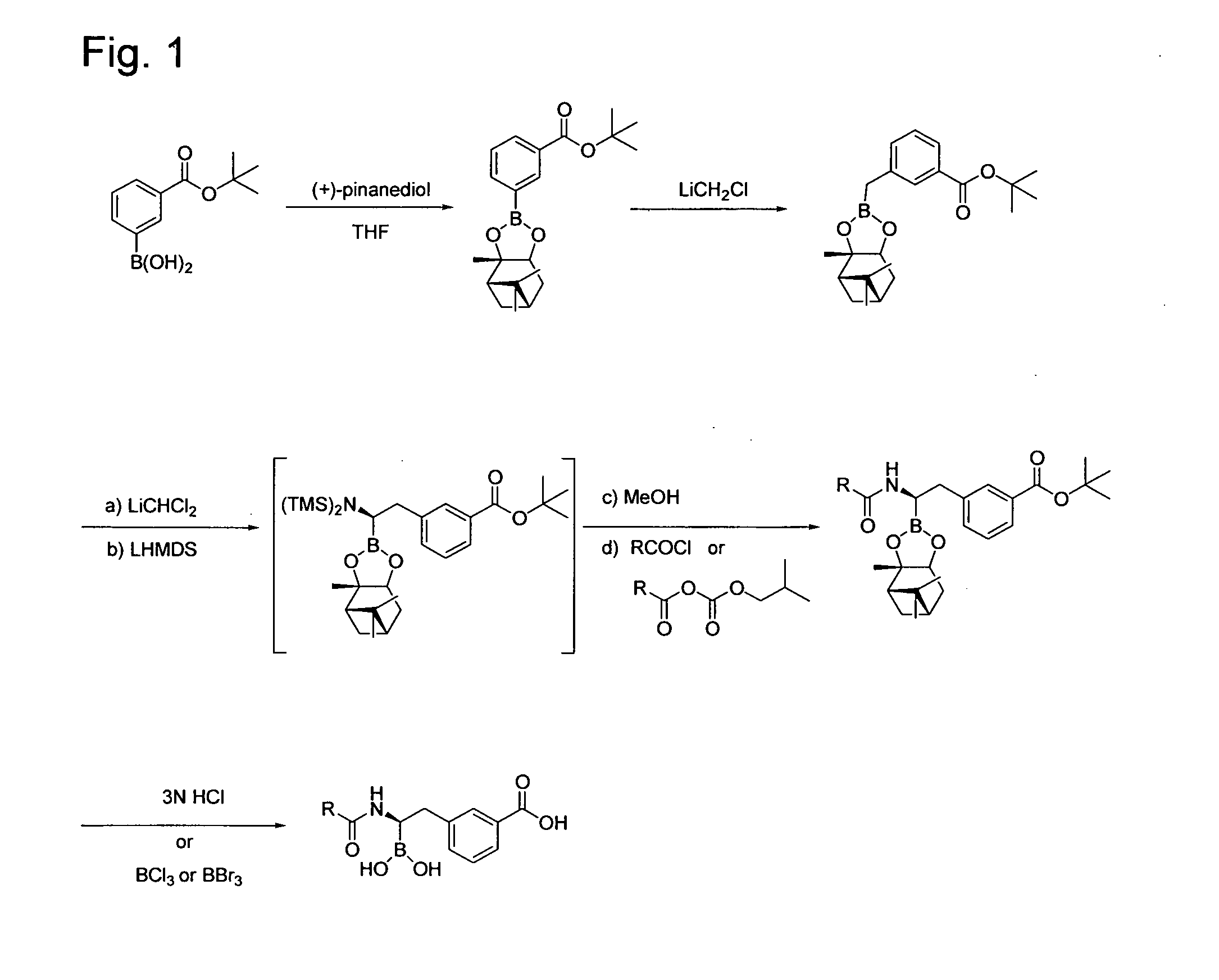 Beta-lactamase inhibitors