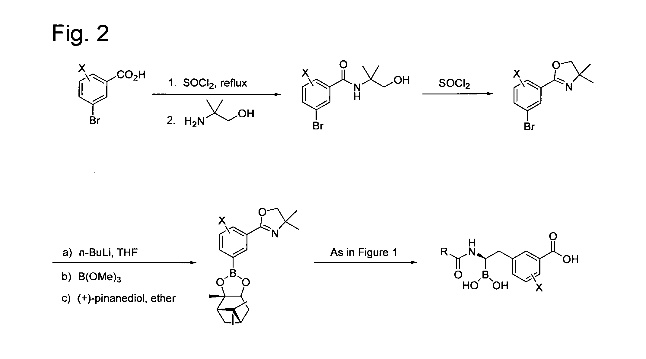 Beta-lactamase inhibitors