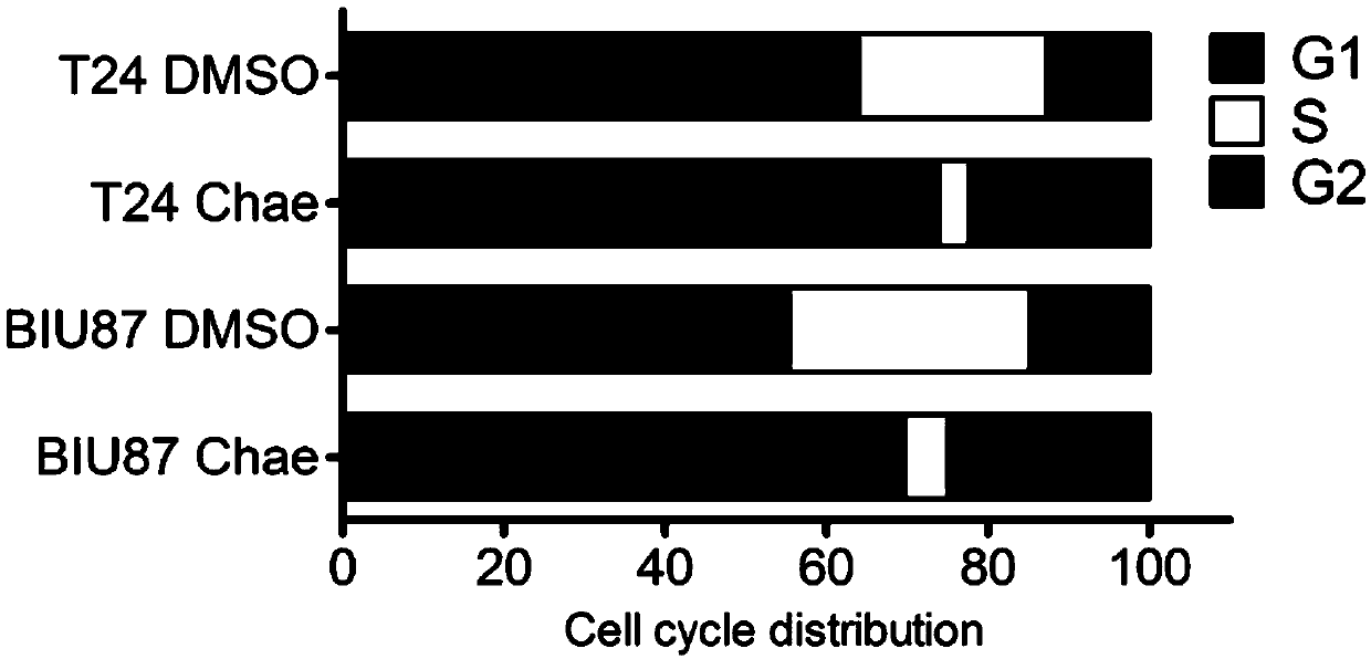 Application of KMT1A inhibitor in preparation of anticancer drug for bladder cancers