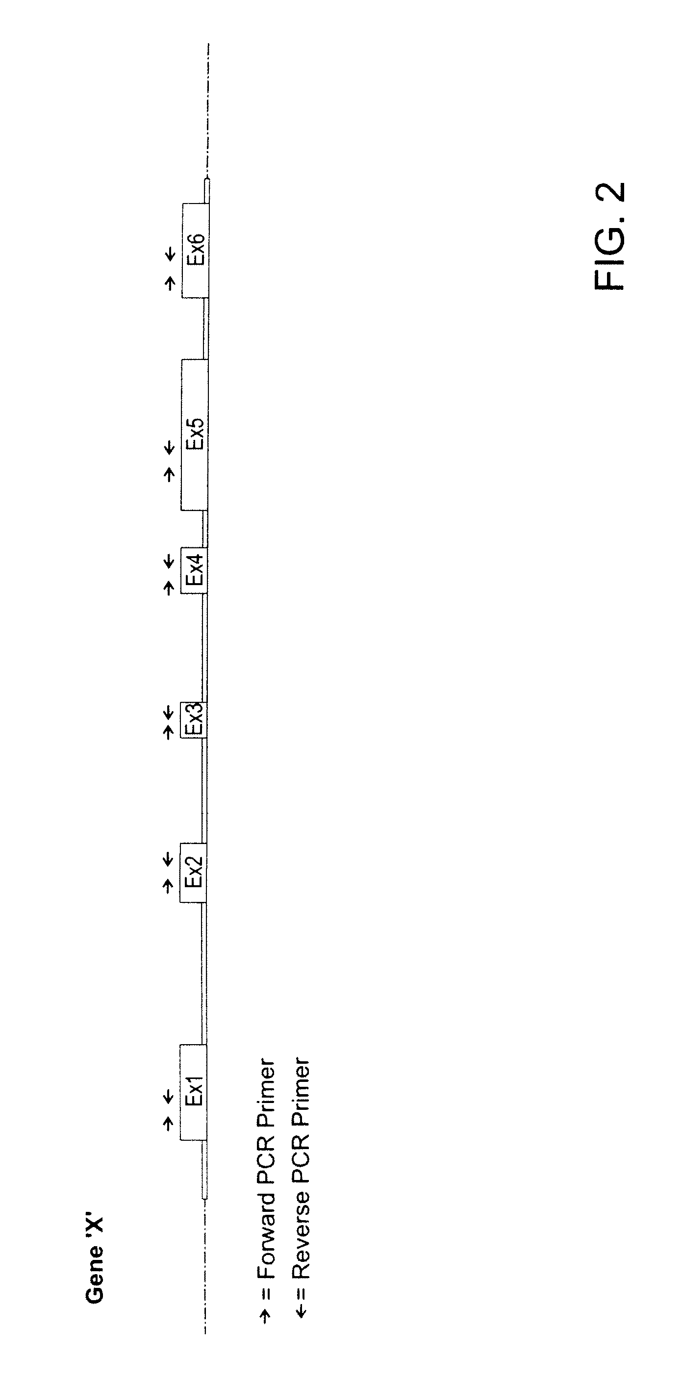 Methods for assessing disease risk