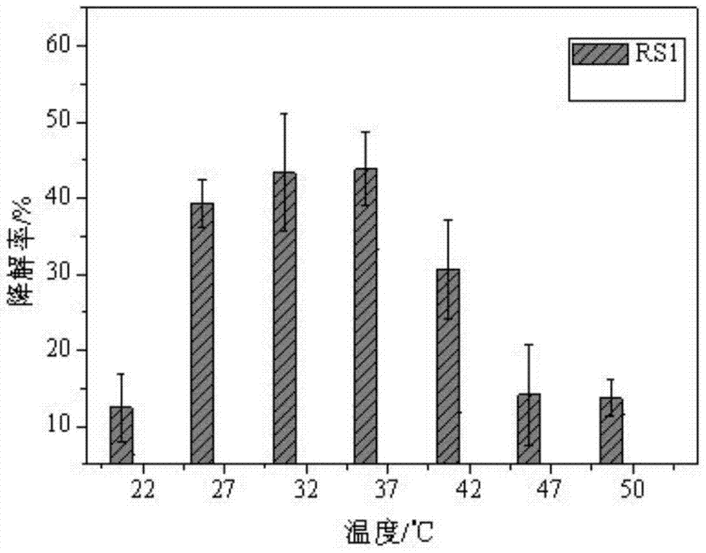 A kind of oil-degrading bacteria in oily sludge and its application