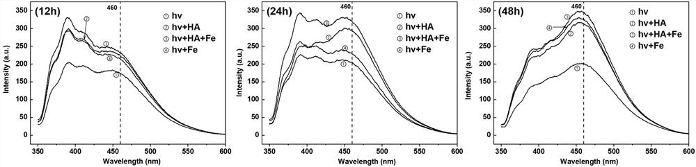 Micro-plastic aging behavior evaluation method