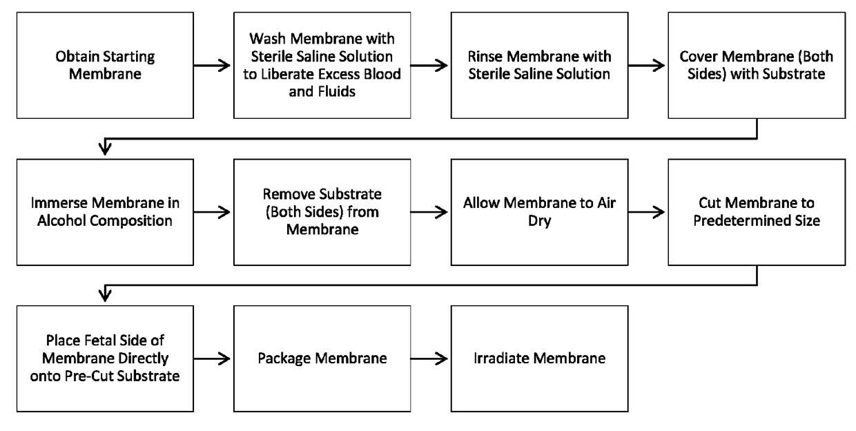 Repair of tympanic membrane using human birth tissue material