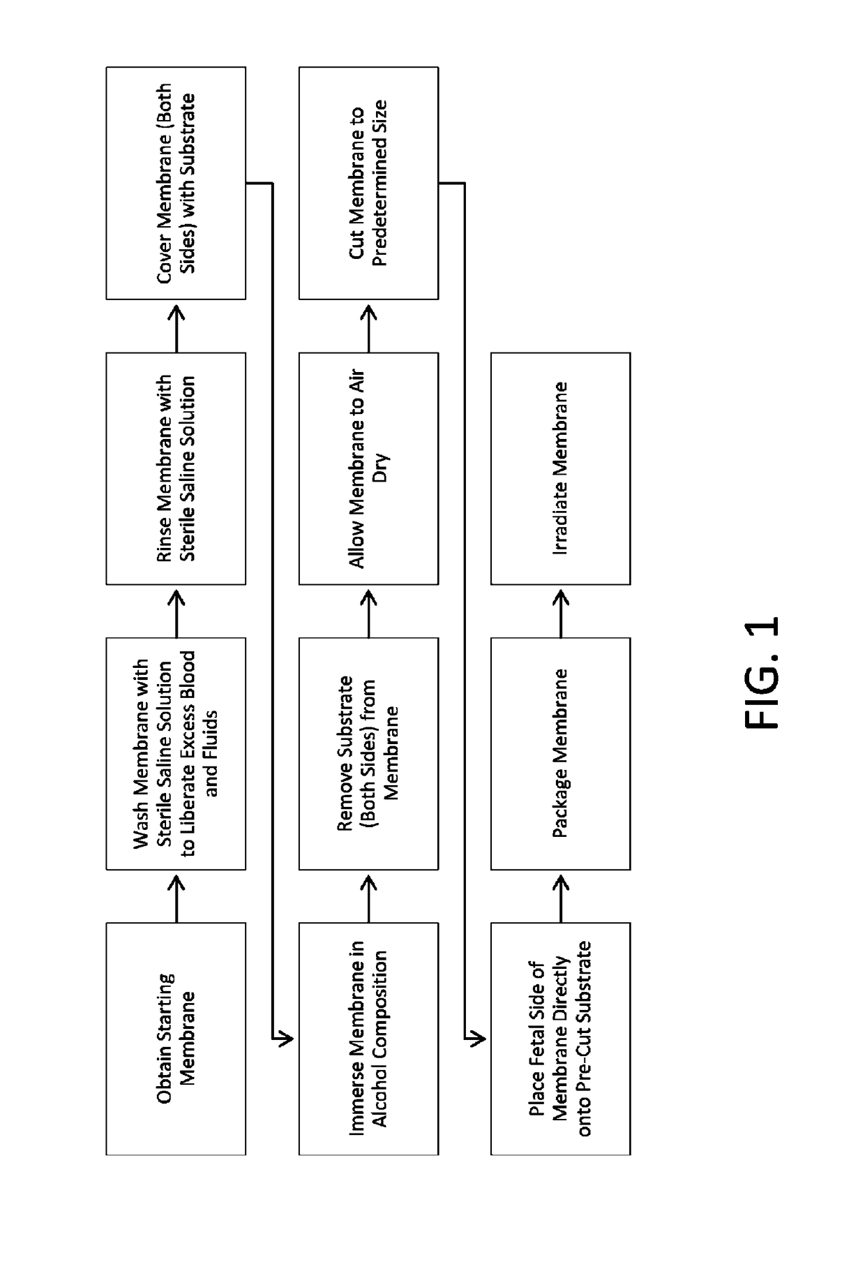 Repair of tympanic membrane using human birth tissue material