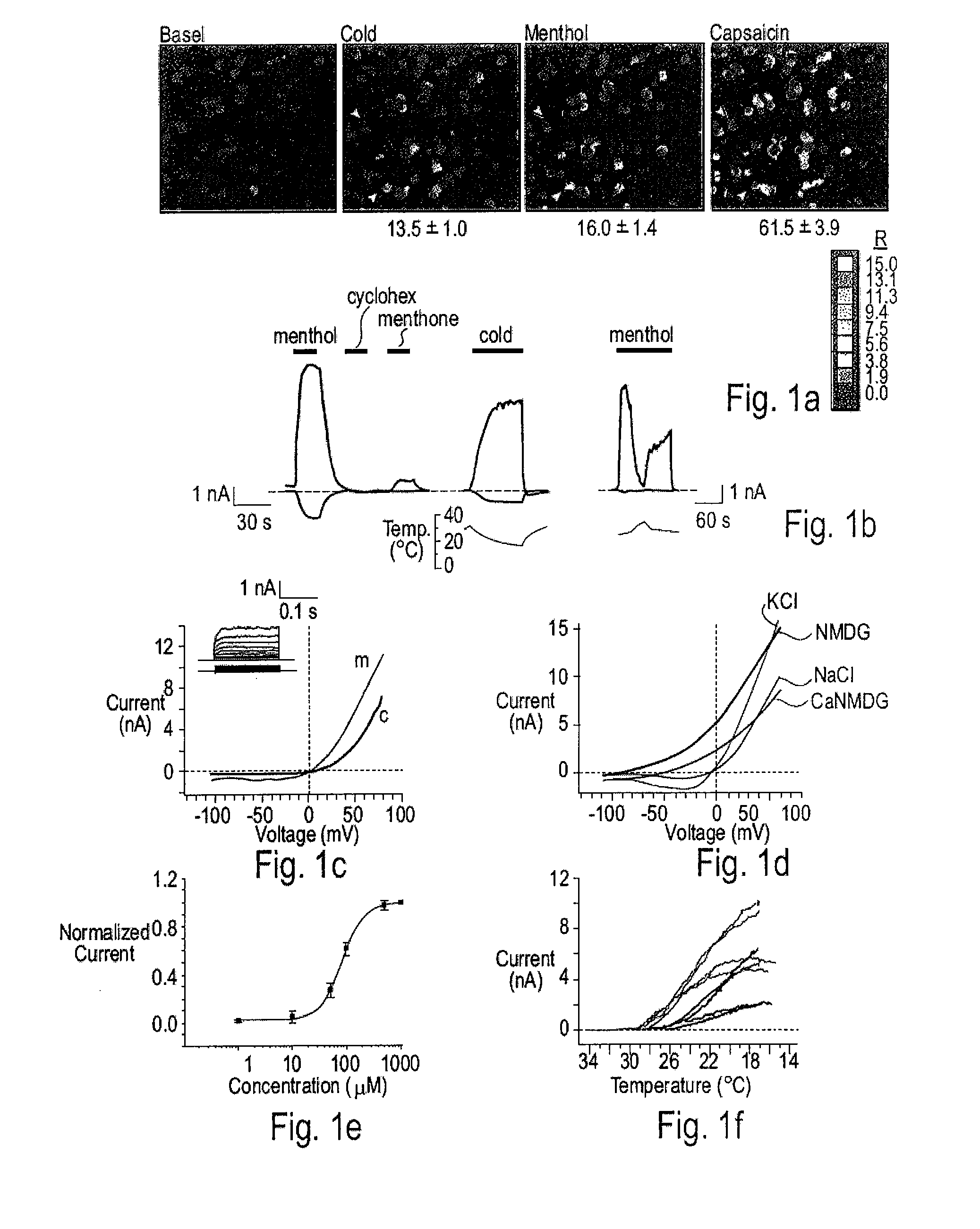 Methods of modulating cold sensory perception