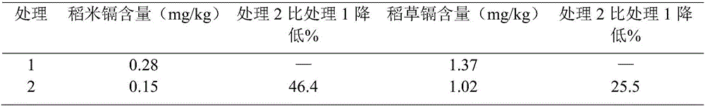 Water-soluble fertilizer for inhibiting absorption and enrichment of heavy metal cadmium of rice and preparation method thereof