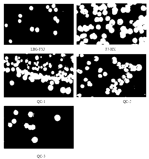 Geosmin producing strain