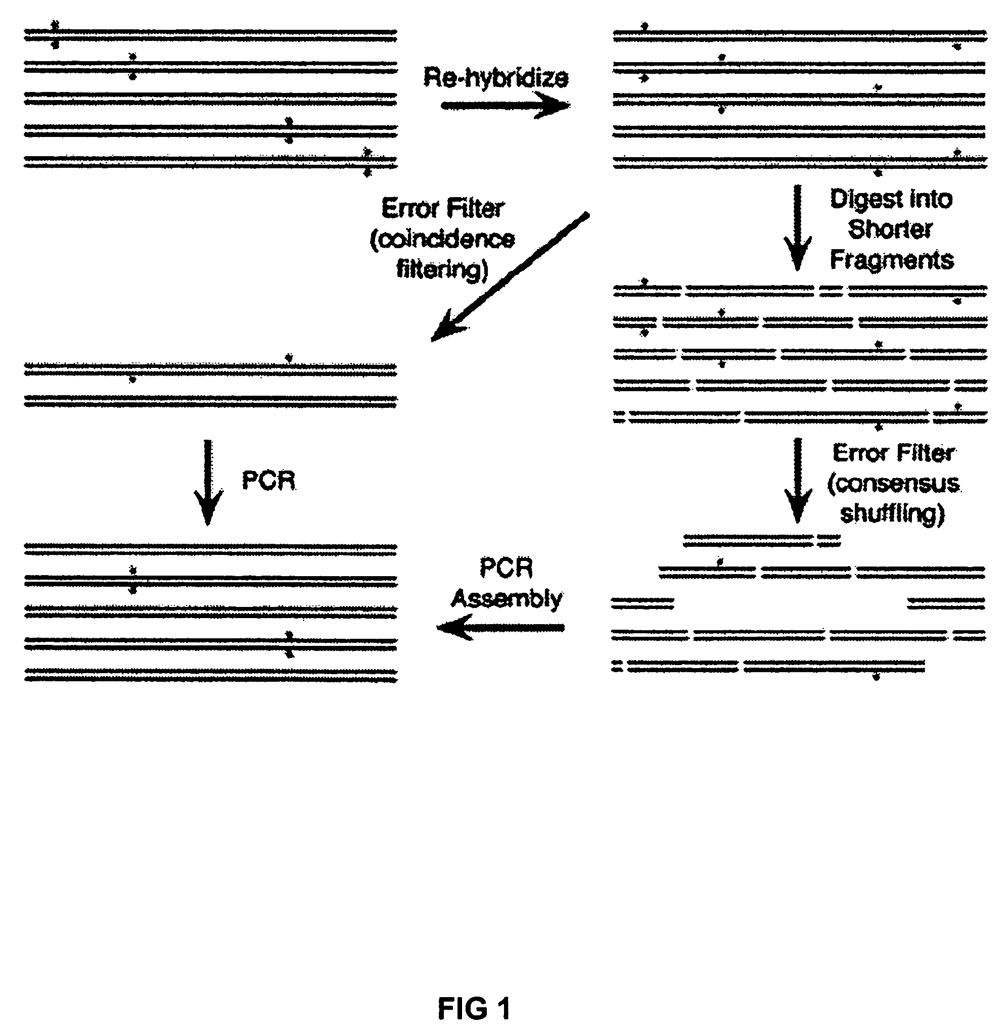 Method of error reduction in nucleic acid populations