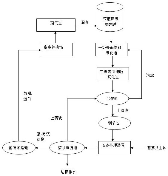 A Biogas Slurry Purification Method Based on the Symbiosis of Bacteria and Algae