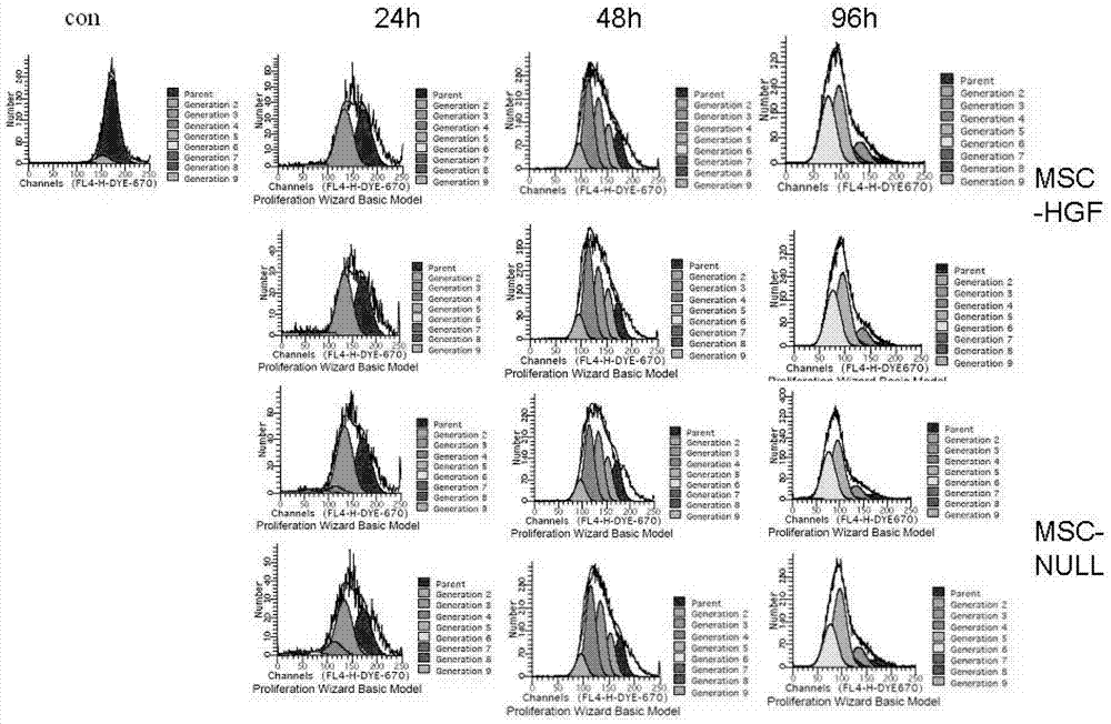 Applications of mesenchymal stem cell and genetically modified mesenchymal stem cell