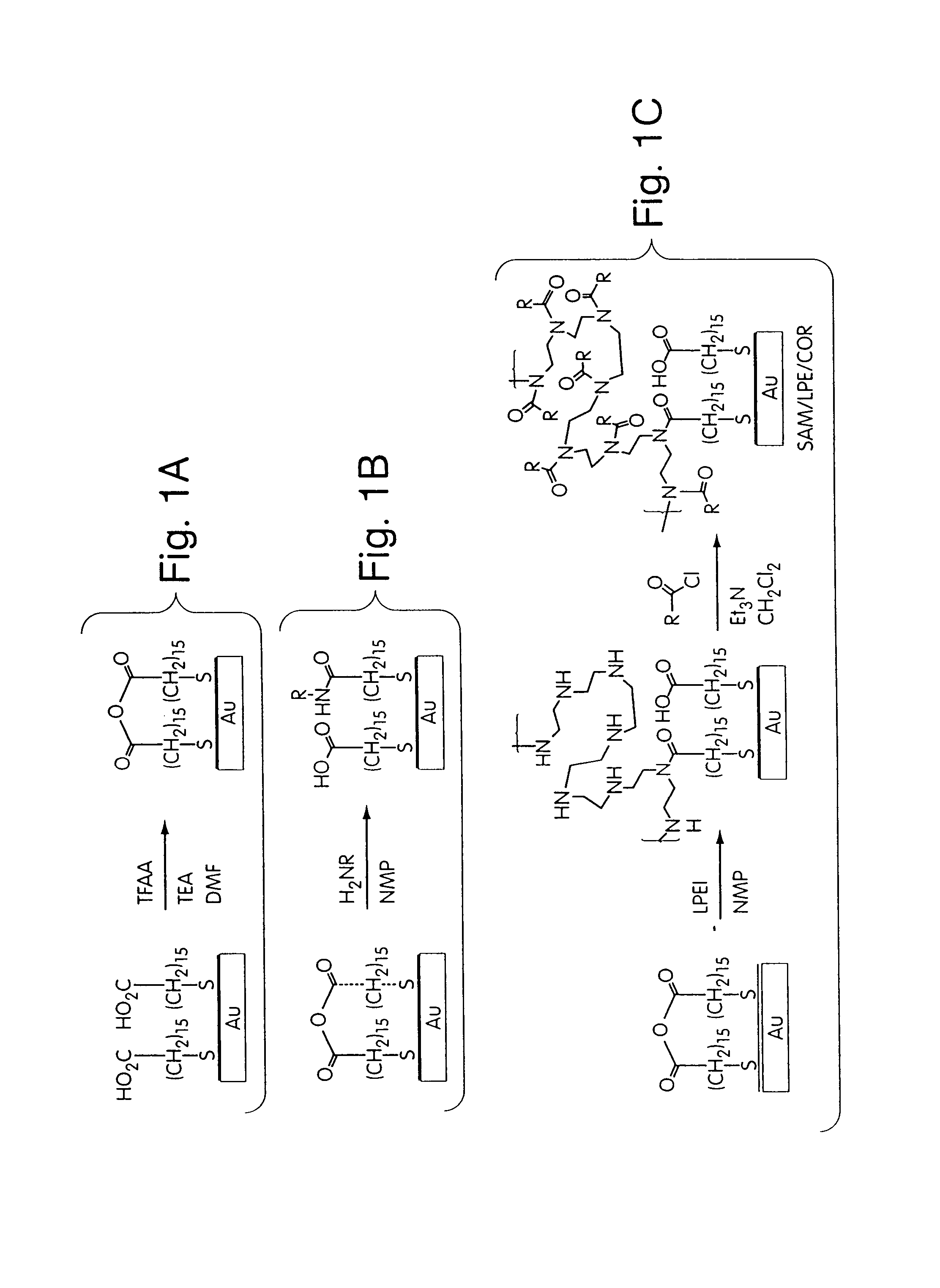 Surfaces that resist the adsorption of biological species