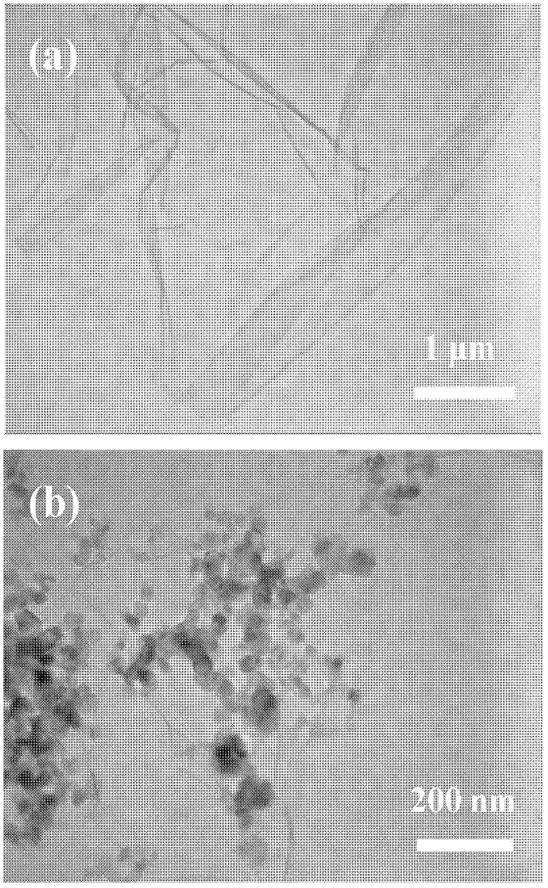 Method for degrading organic matters by photoelectrocatalysis