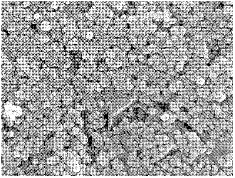 Method for degrading organic matters by photoelectrocatalysis