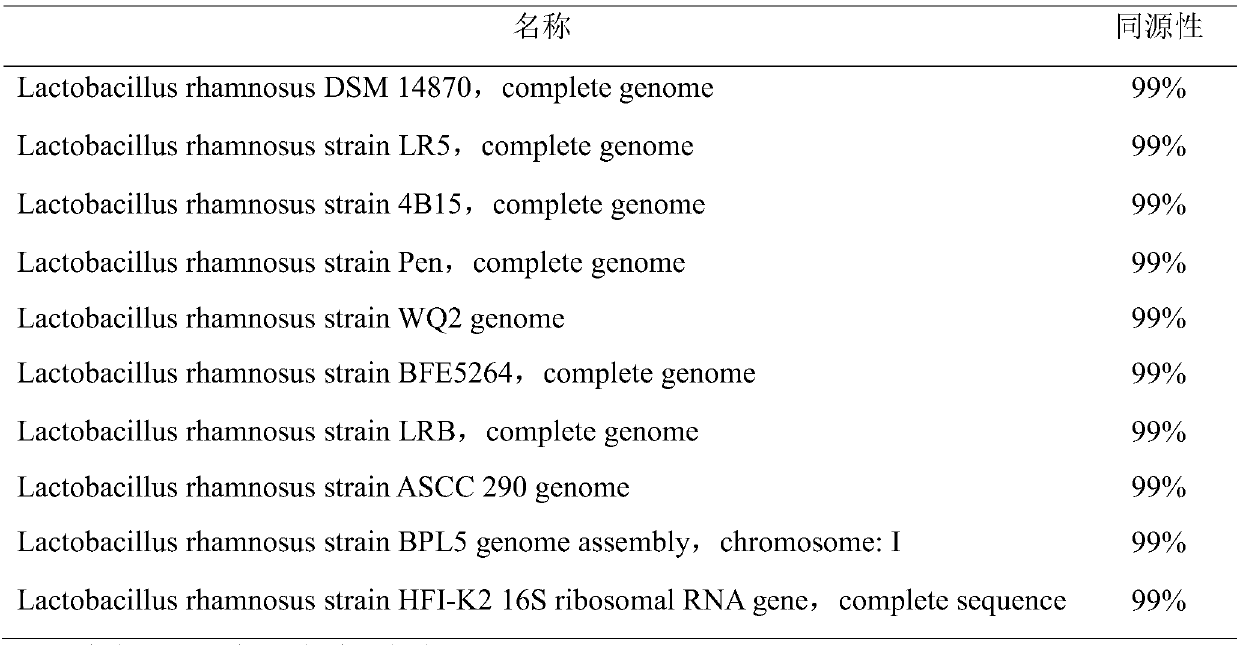 Lactobacillus rhamnosus and applications thereof