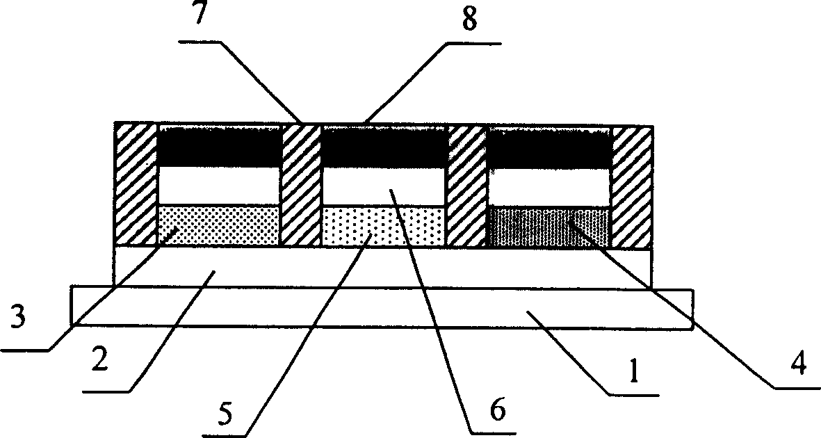 Tripolar carbon nanotube display with filtering structure and process for preparing same