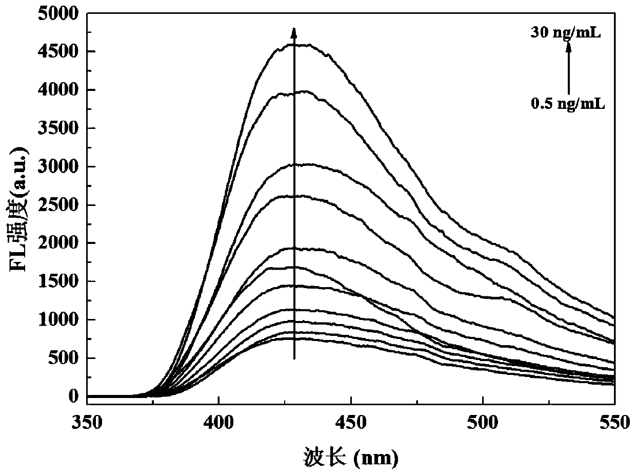 Fe-MOFs chemiluminescence-fluorescence double-response immunosensor