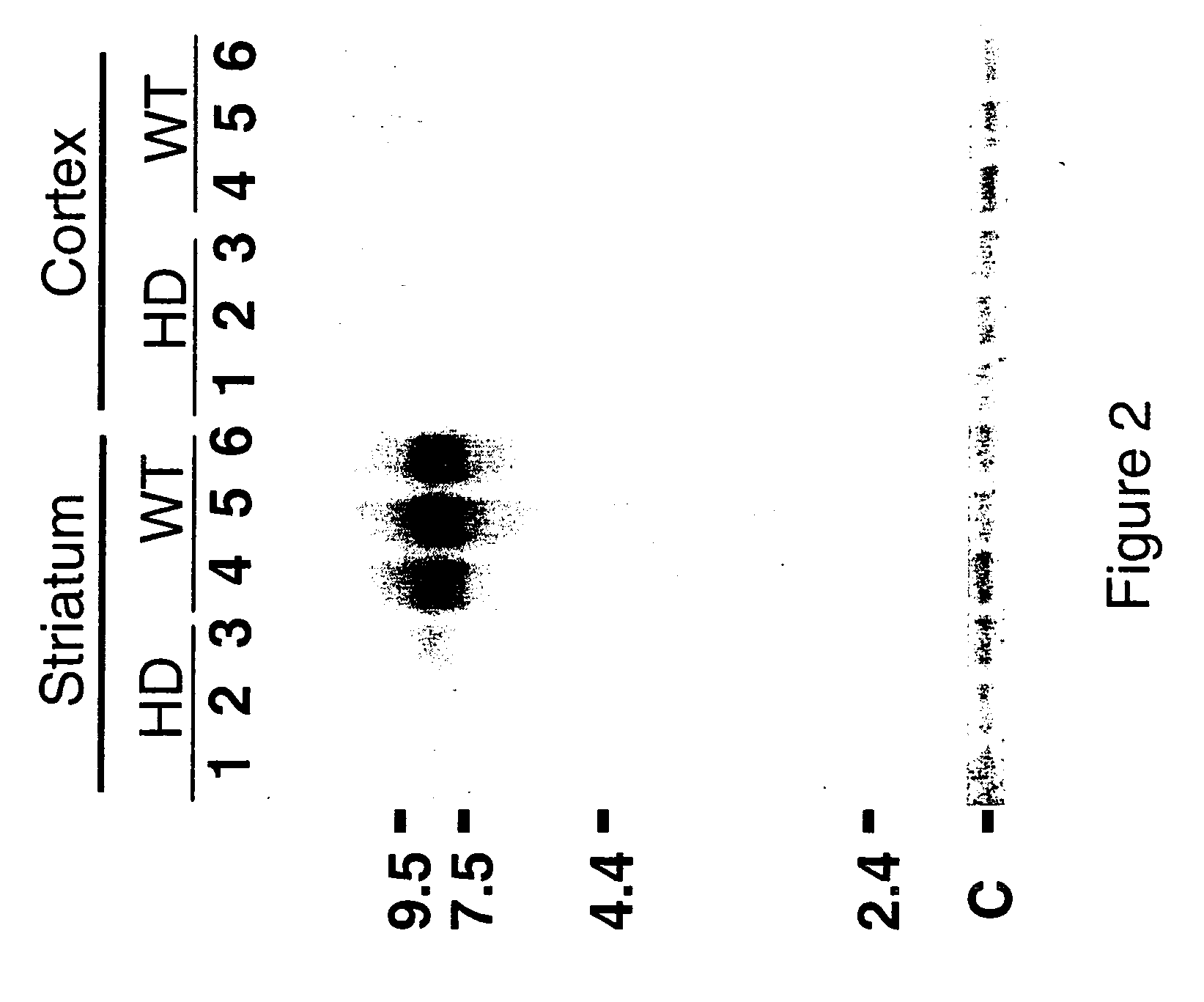 Compounds and methods for modulating phosphodiesterase 10A