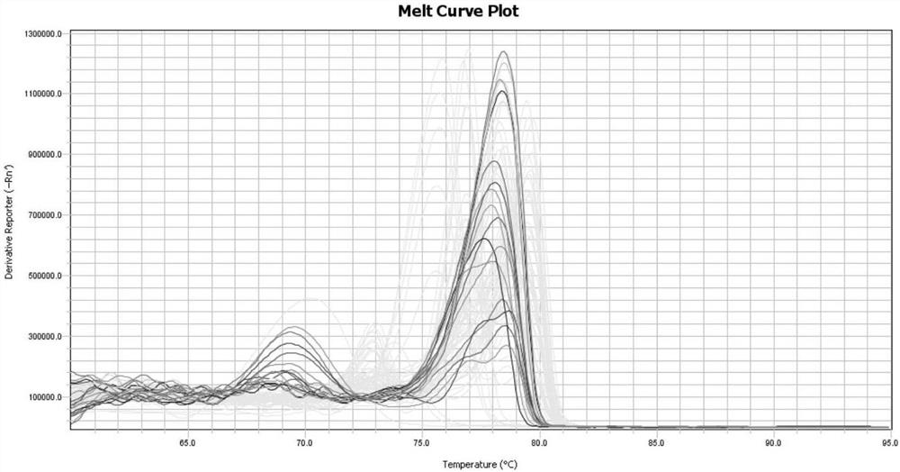 Colorectal Cancer Molecular Marker Combination, Its Application, Primer Set and Detection Kit