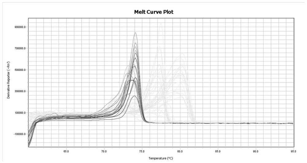 Colorectal Cancer Molecular Marker Combination, Its Application, Primer Set and Detection Kit