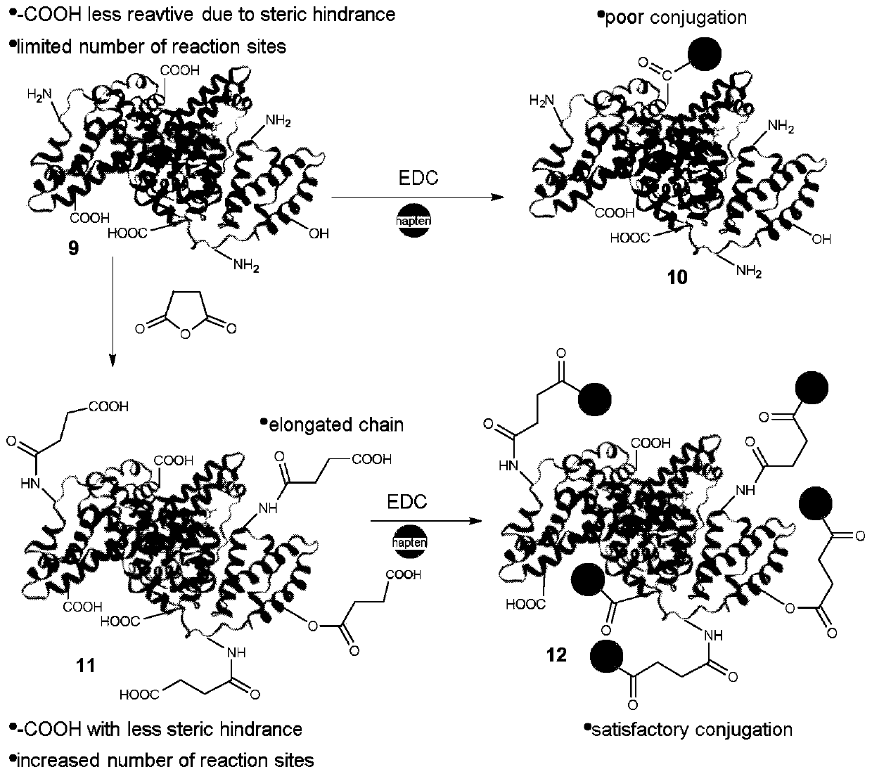 High-efficiency cyhalothrin hapten, activated carrier protein, complete antigen and polyclonal antibody for immunoassay