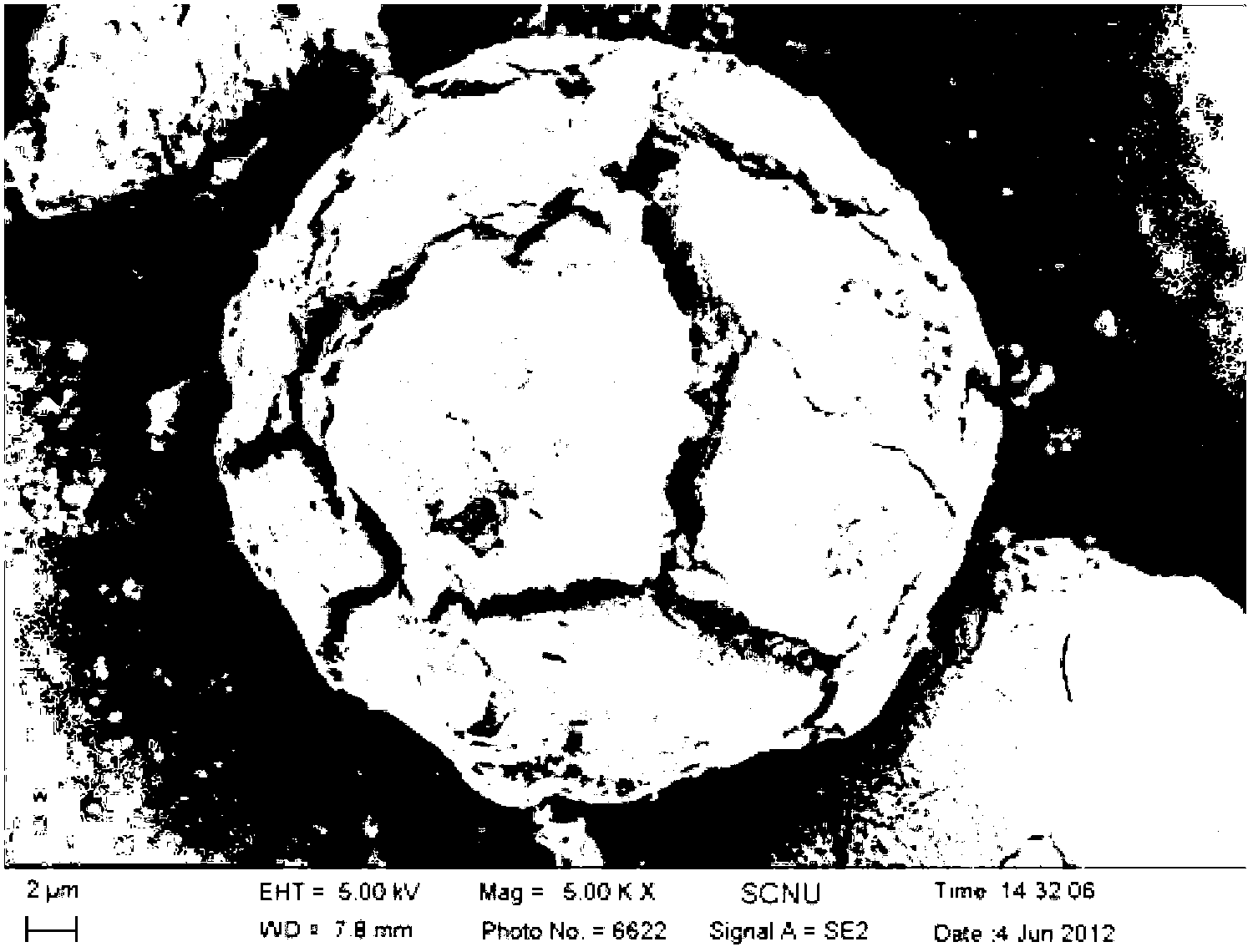 Sn-Co/C alloy cathode material of lithium ion battery and preparation method thereof