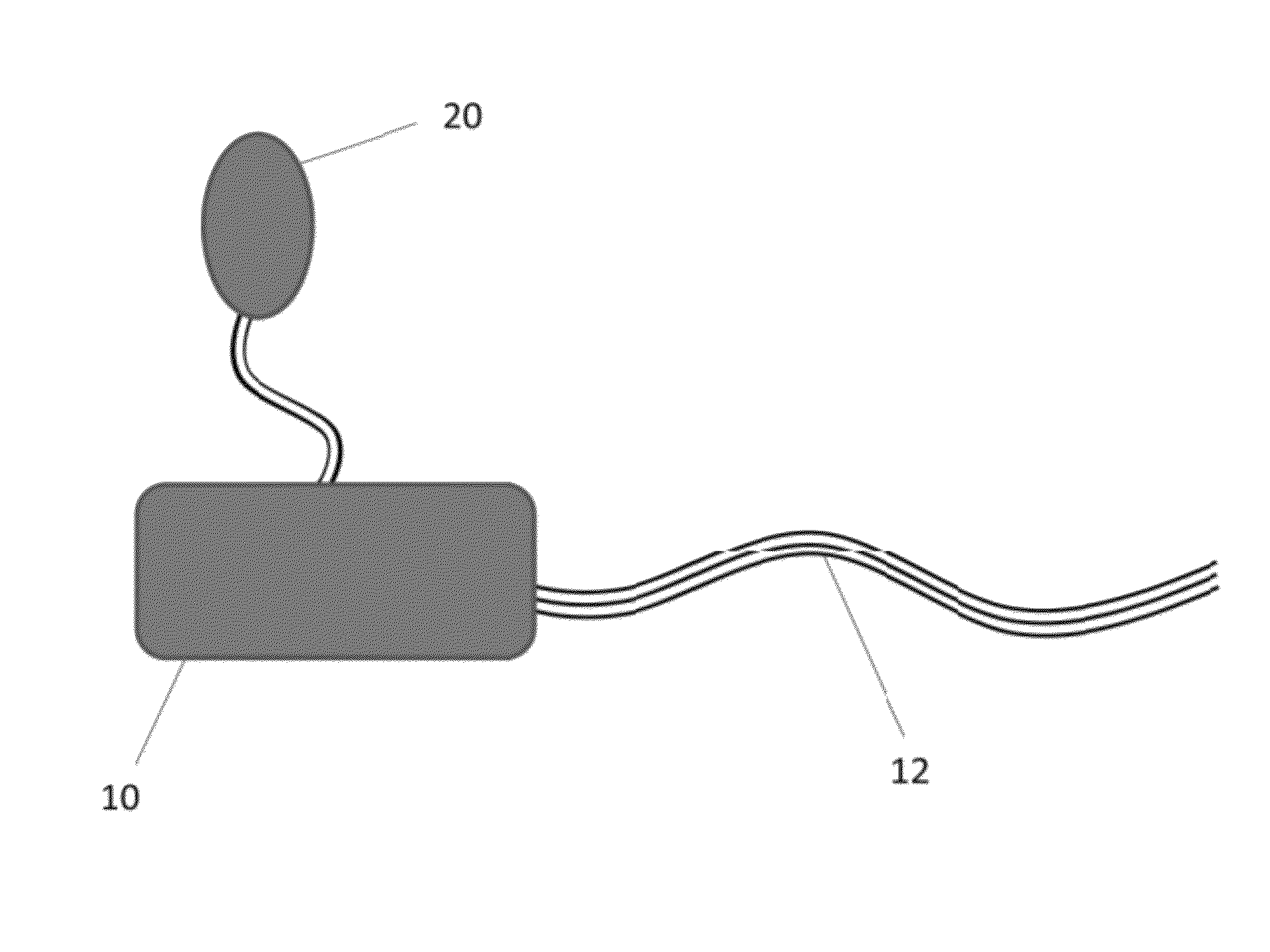 Continuous blood glucose monitor