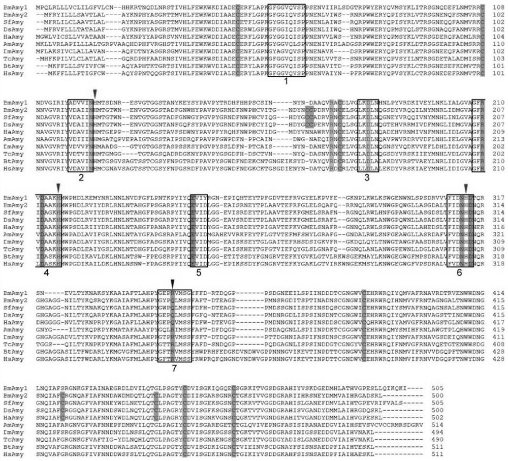 Application and method of bombyx mori amylase gene BmAmy1