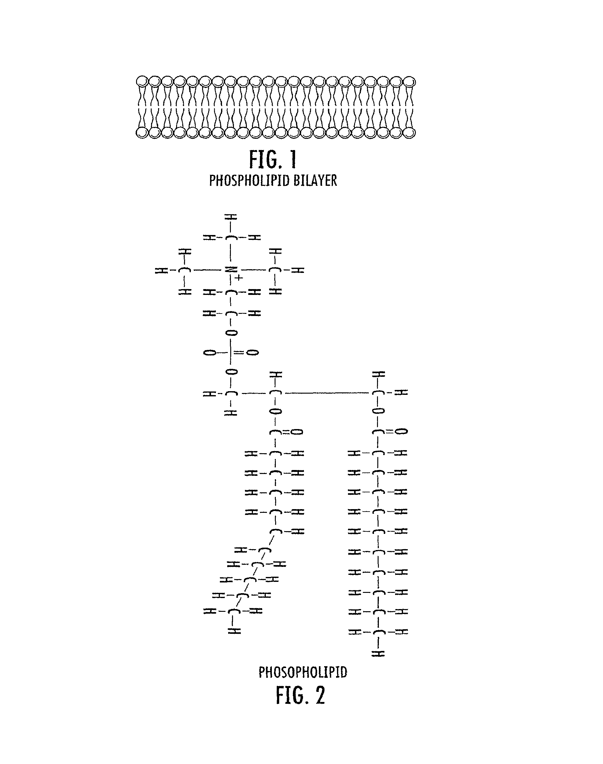 Therapeutic light delivery apparatus, method, and system