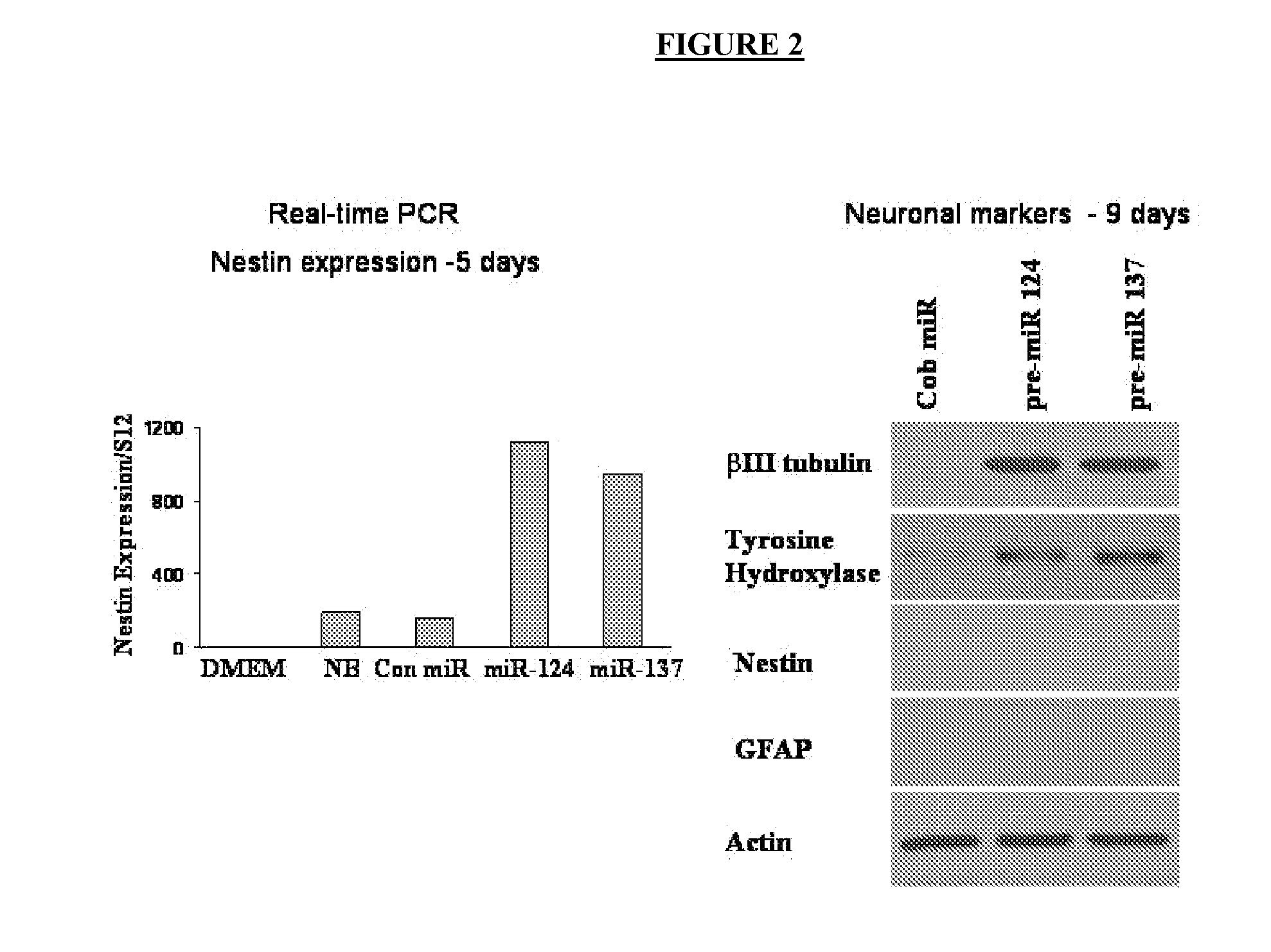 Methods, systems, and compositions for neuronal differentiation of multipotent stromal cells