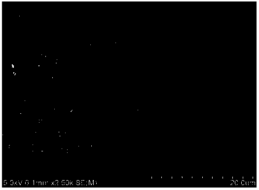 A kind of magnesium secondary battery and preparation method thereof