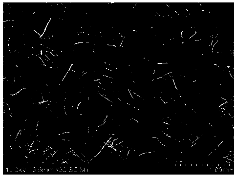 A kind of magnesium secondary battery and preparation method thereof