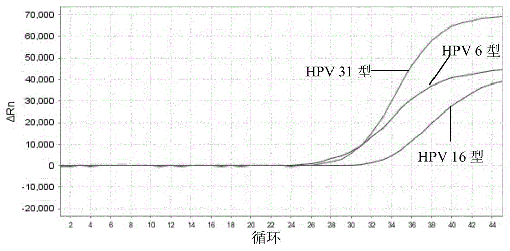 Nucleic acid detection kit for human papilloma virus, use method and application thereof