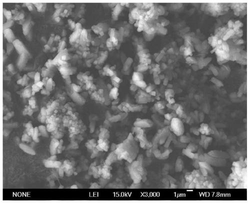 Solid acid catalyst as well as preparation method thereof and preparation method of hydroxy phenylglycine