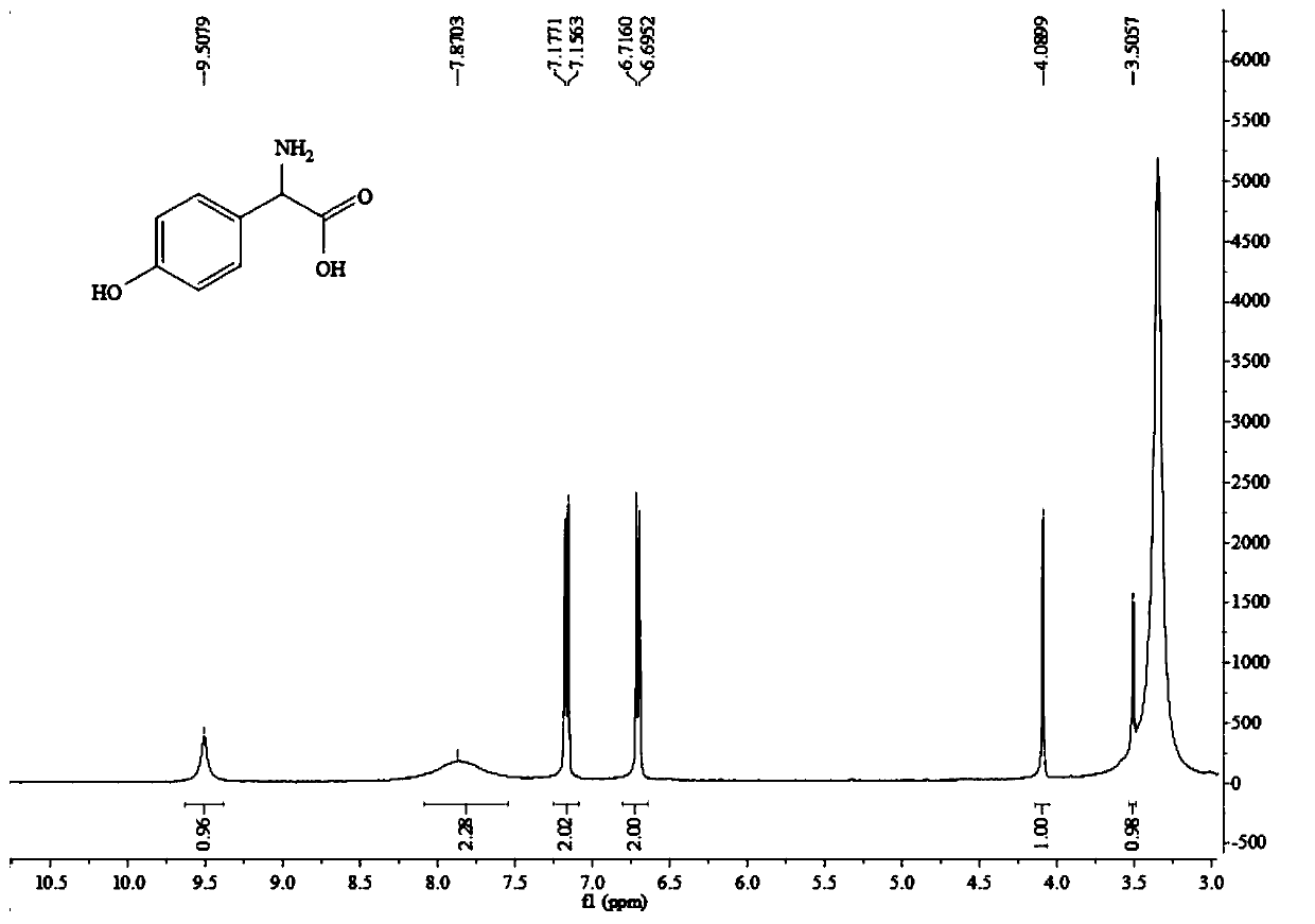 Solid acid catalyst as well as preparation method thereof and preparation method of hydroxy phenylglycine