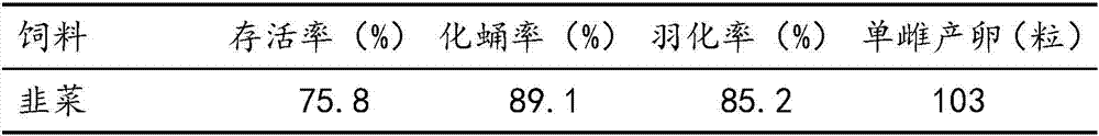 Chinese chive maggot feeding method