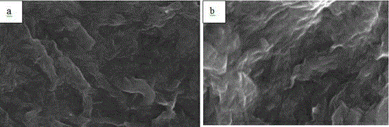 Graphene/thermoplastic polyurethane composite and preparation method thereof